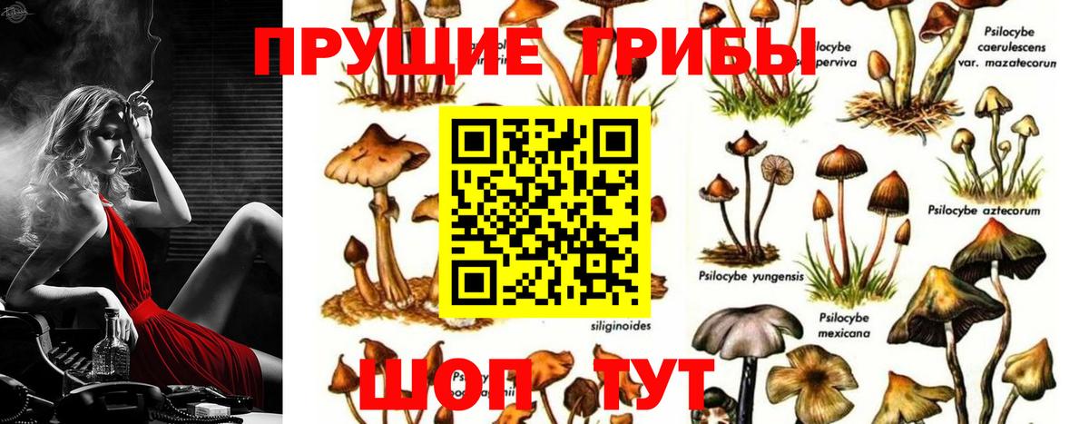 Галлюциногенные грибы GOLDEN TEACHER Копейск