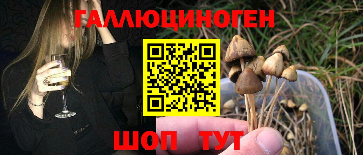 Копейск  Галлюциногенные грибы ЛСД  Вход с VPN 